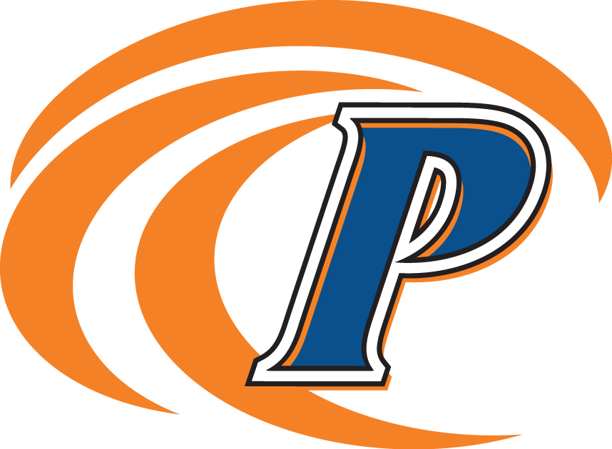 Pepperdine Waves 2004-2010 Secondary Logo iron on paper